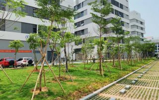 Huafeimedical planting trees3