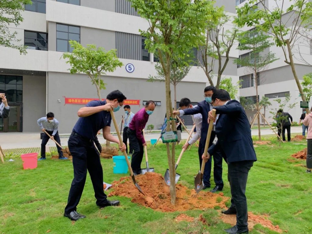 Huafeimedical planting trees4