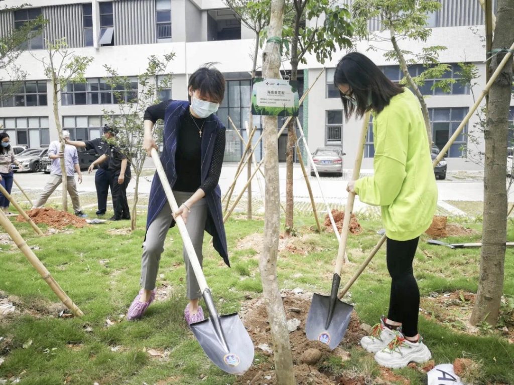 Huafeimedical planting trees5